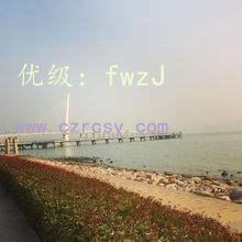 ˲