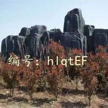 ḻ