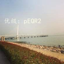 Ʋ