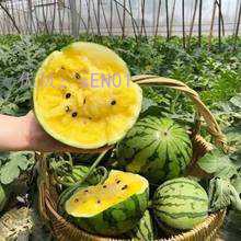 ǰ