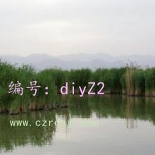 ƻ