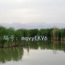 ϸ΢
